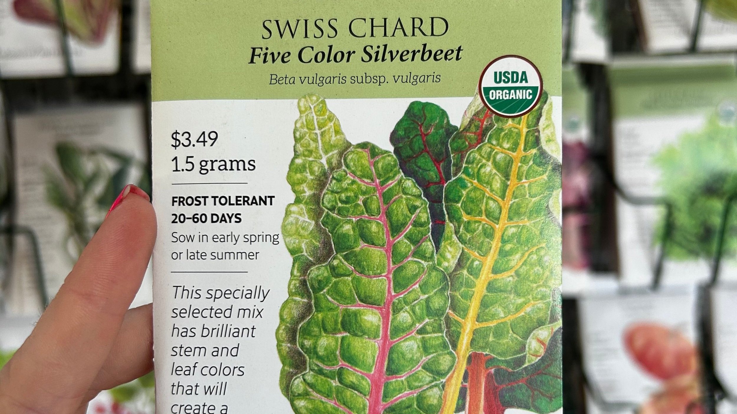 Swiss+chard+five+color+silverbeet.jpg