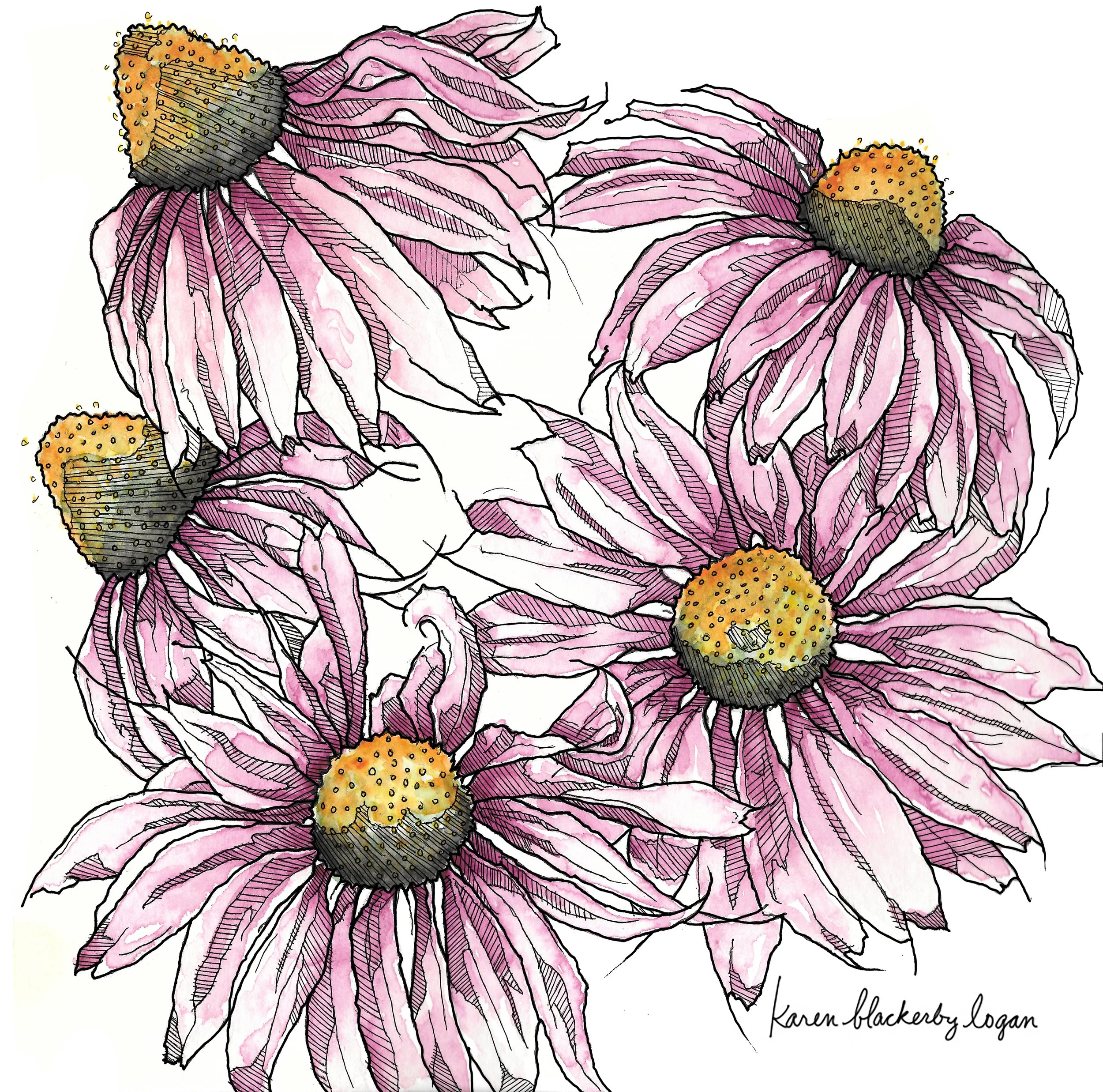 ECHINACEA