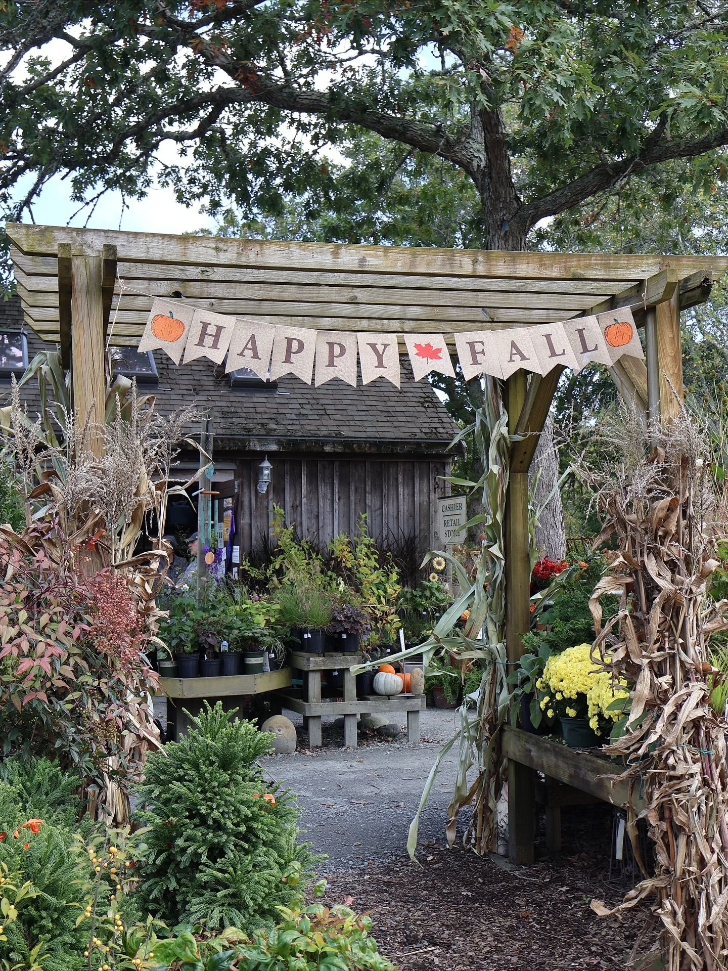🍂 Thank You for a Beautiful Harvest Festival! 🍂

What a wonderful day it was &mdash; full of color, laughter, and the joy of fall. We&rsquo;re so grateful to everyone who joined us and helped make this Vineyard Gardens tradition so special.

A big 