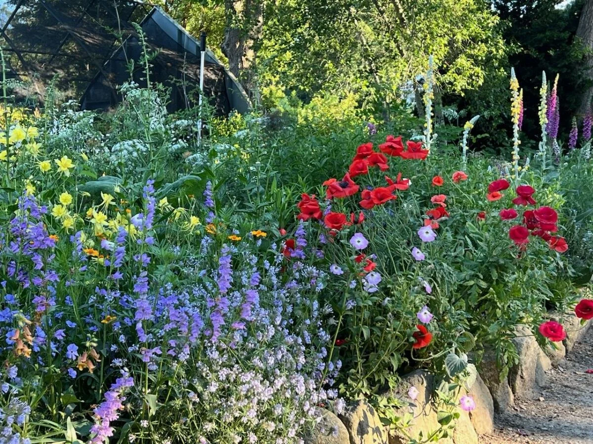 Vineyard Gardens June Display Bed