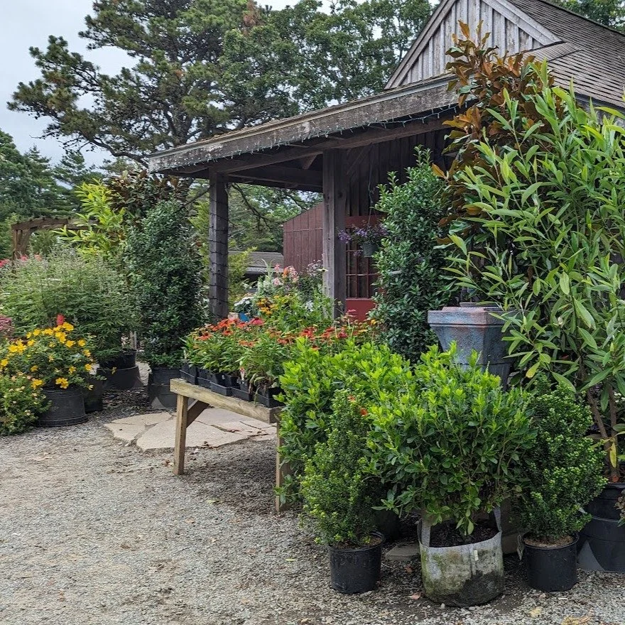 🌿JOIN OUR TEAM🌿
Grow your career with a team passionate about plants, community, and design.

▪ Full-Time Bookkeeper: Vineyard Gardens Landscaping and Garden Center in West Tisbury is seeking an experienced, in-person Bookkeeper to manage day-to-da