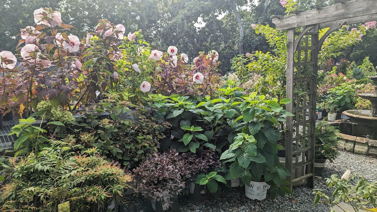 PXL_20230815_201631710.jpg