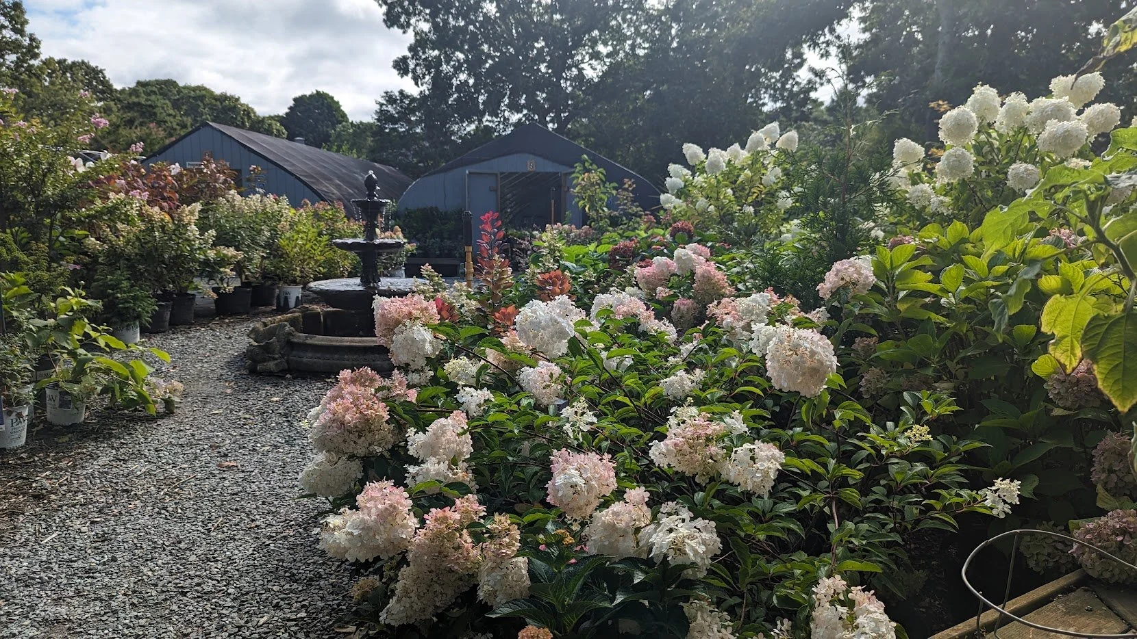 vineyard gardens nursery6.jpg