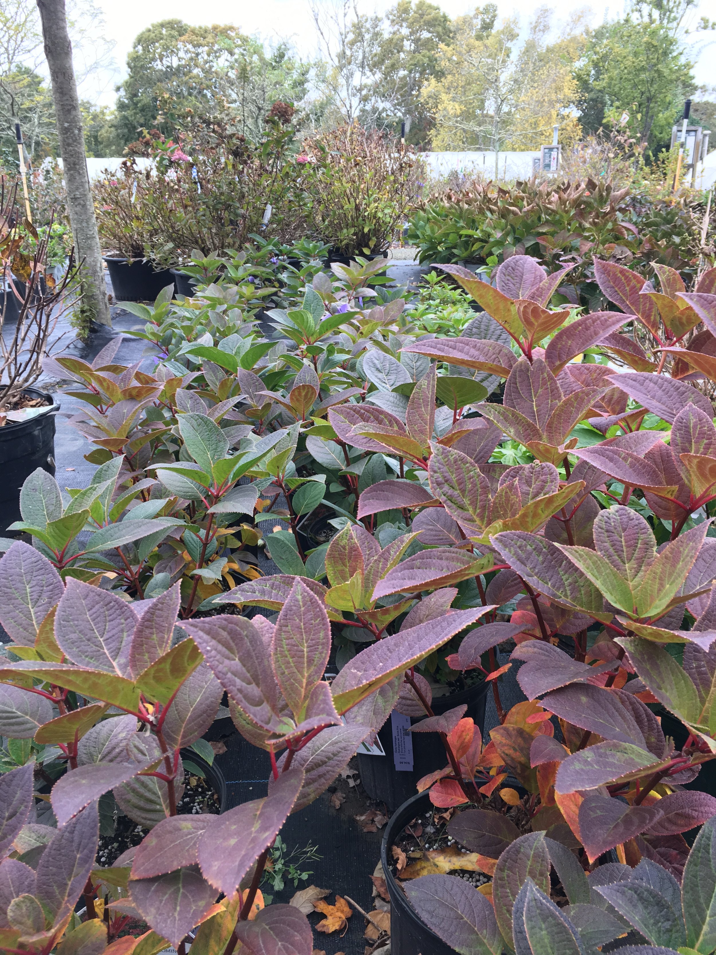 image1(12).jpeg