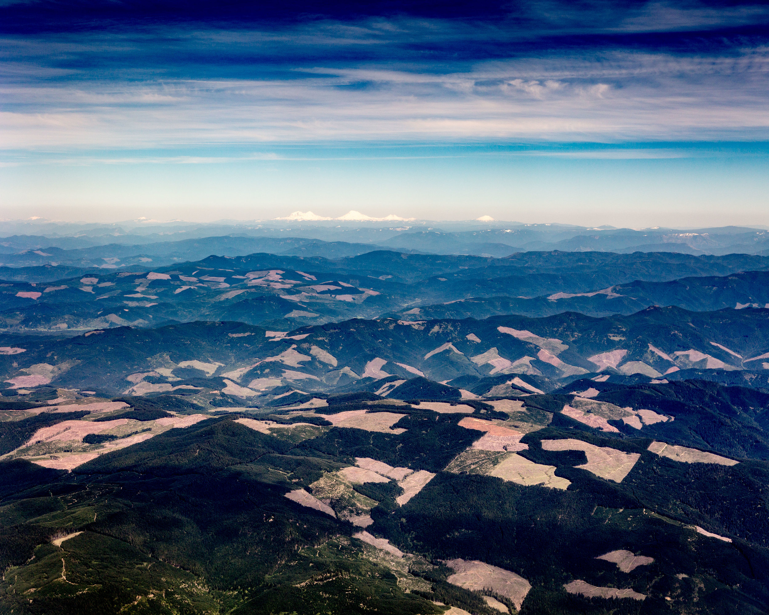 04 - Oregon Clearcut 20160418 5mb-pano.jpg