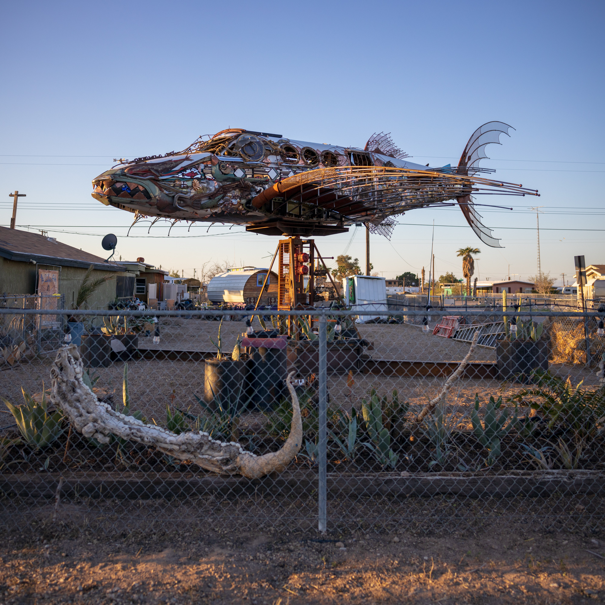 Bombay Beach 2019 (2k)-7.jpg