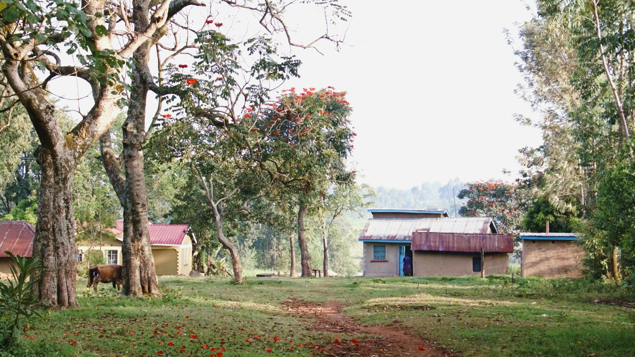 Screenshot 2026-03-31 at 11.29.49 AM_CC.png