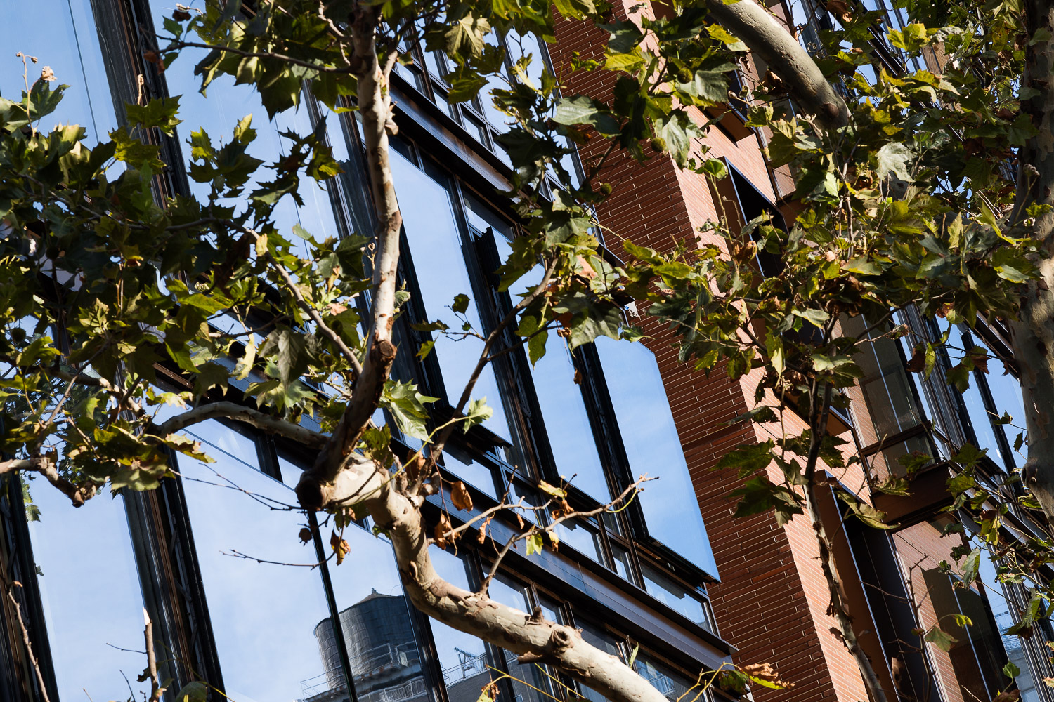 The Oosten — Think! Architecture + Design — Featured