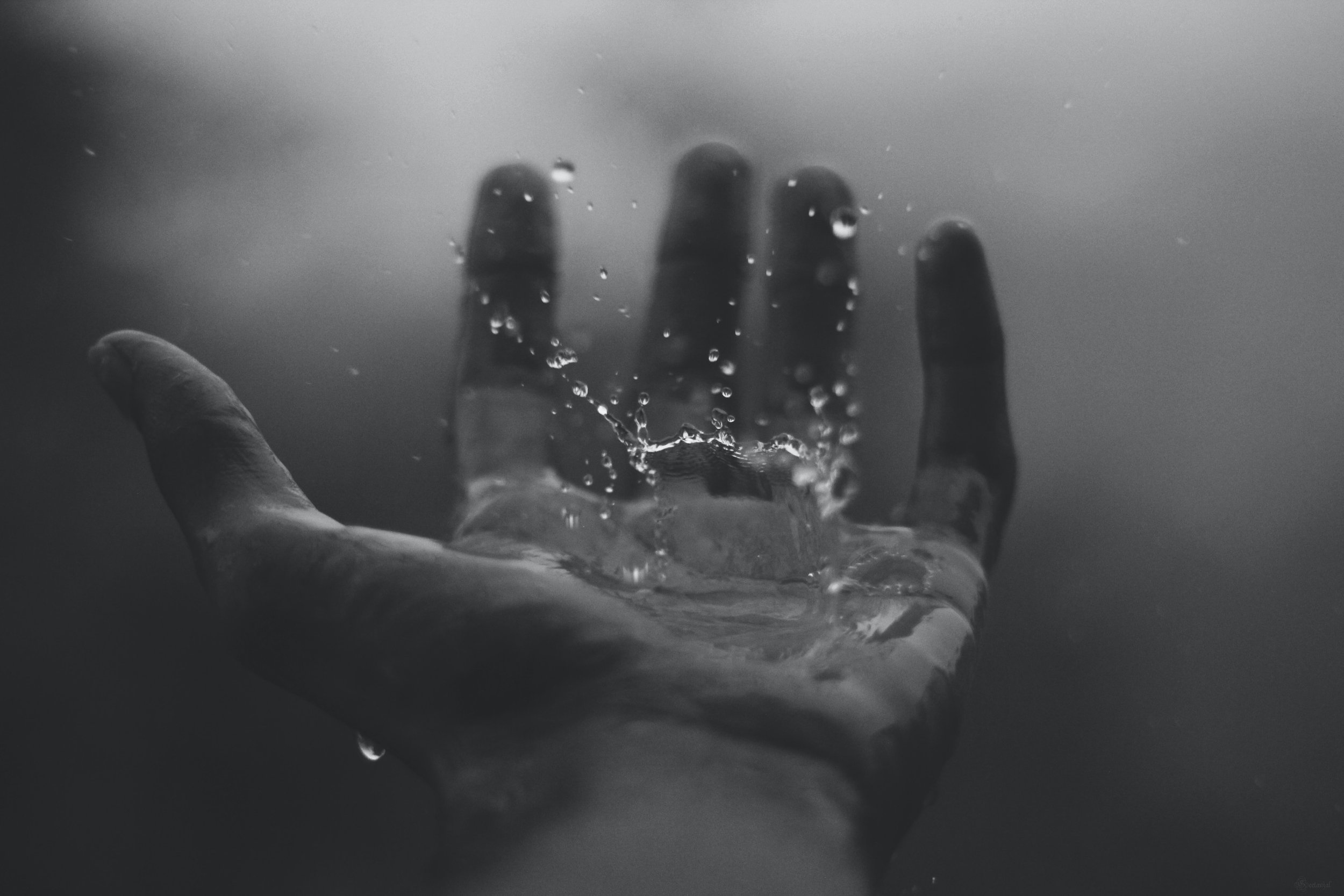 Soak