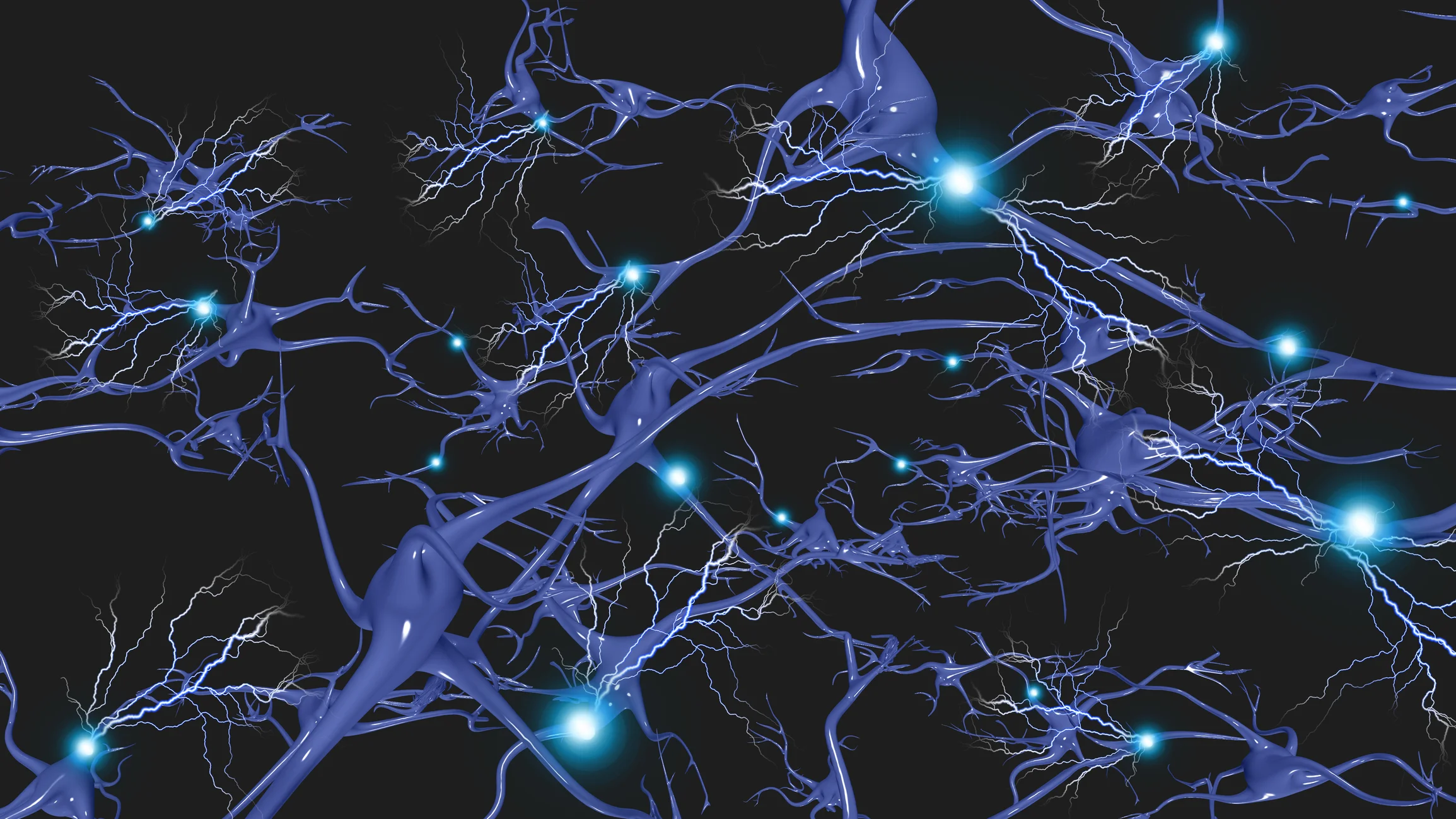 dreamstime_m_36897812neurons2.jpg