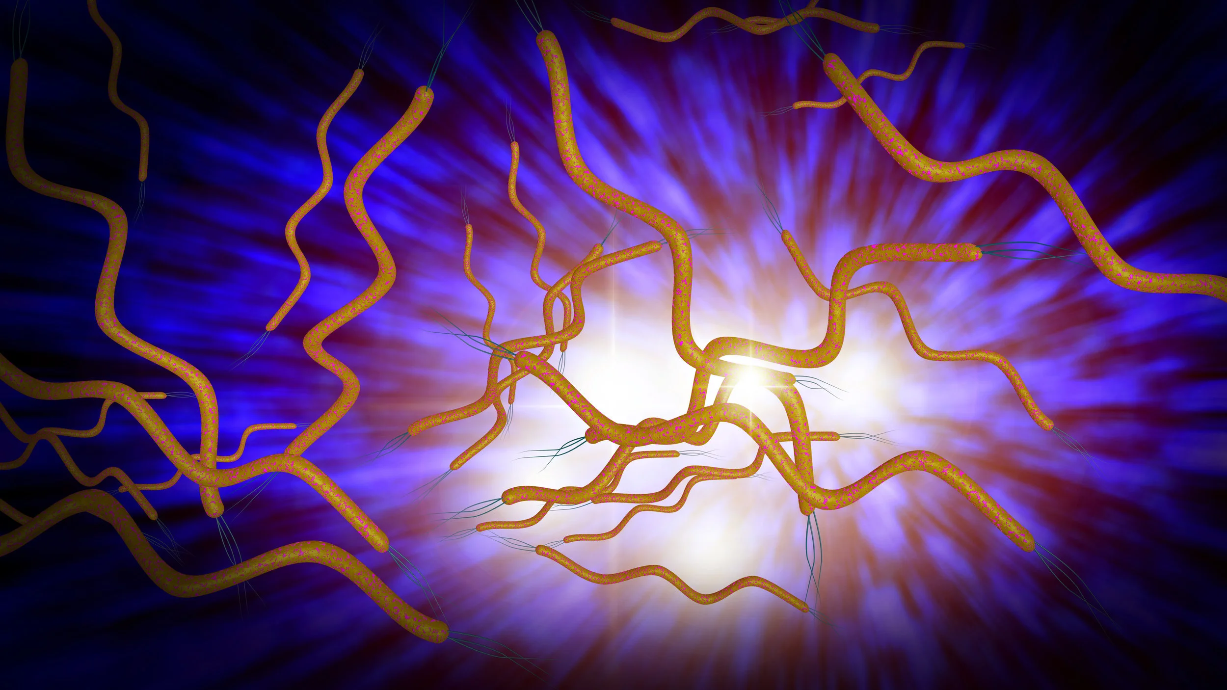 Microbes within