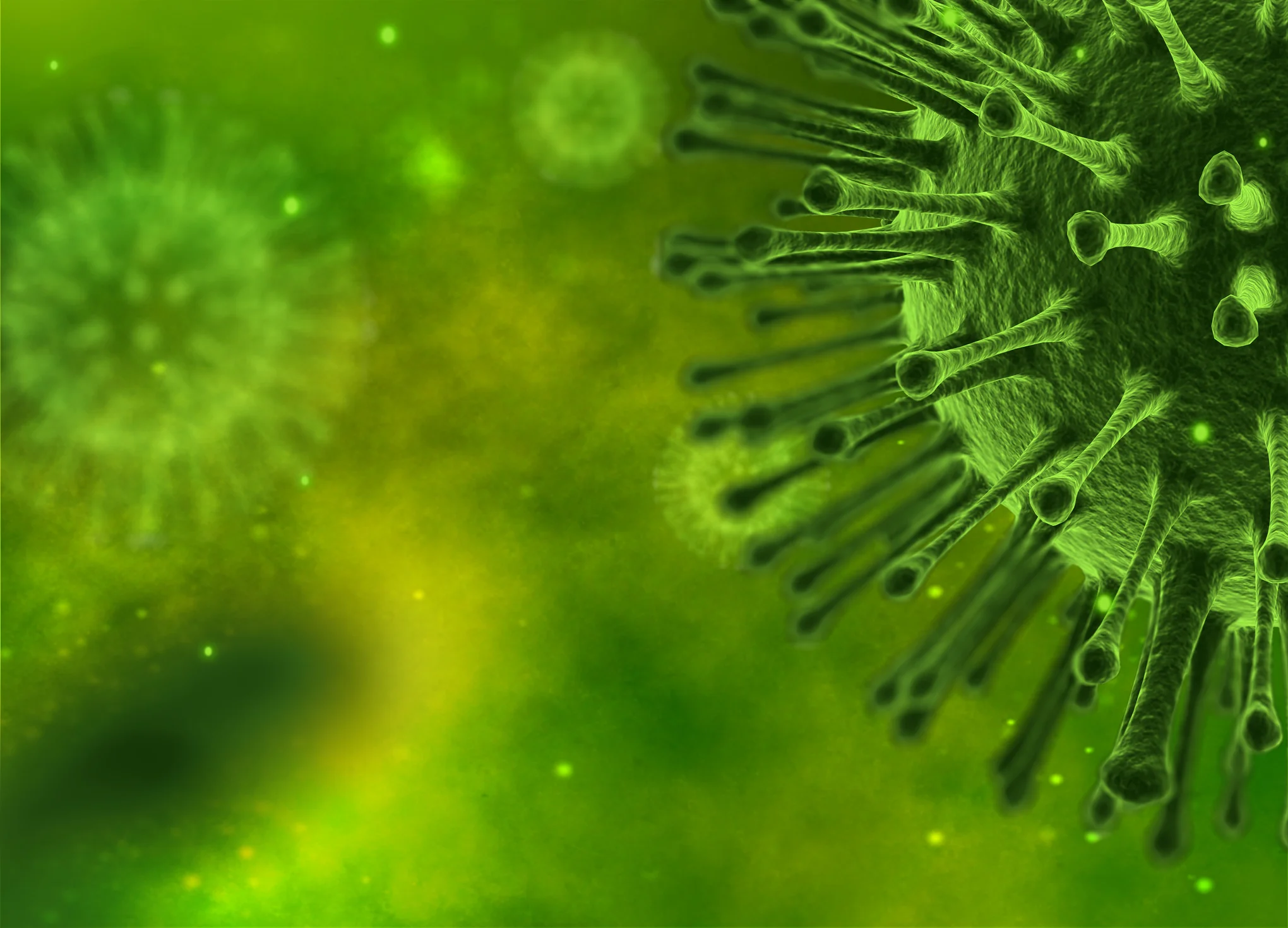 E-Course: BodyEcology Master Study