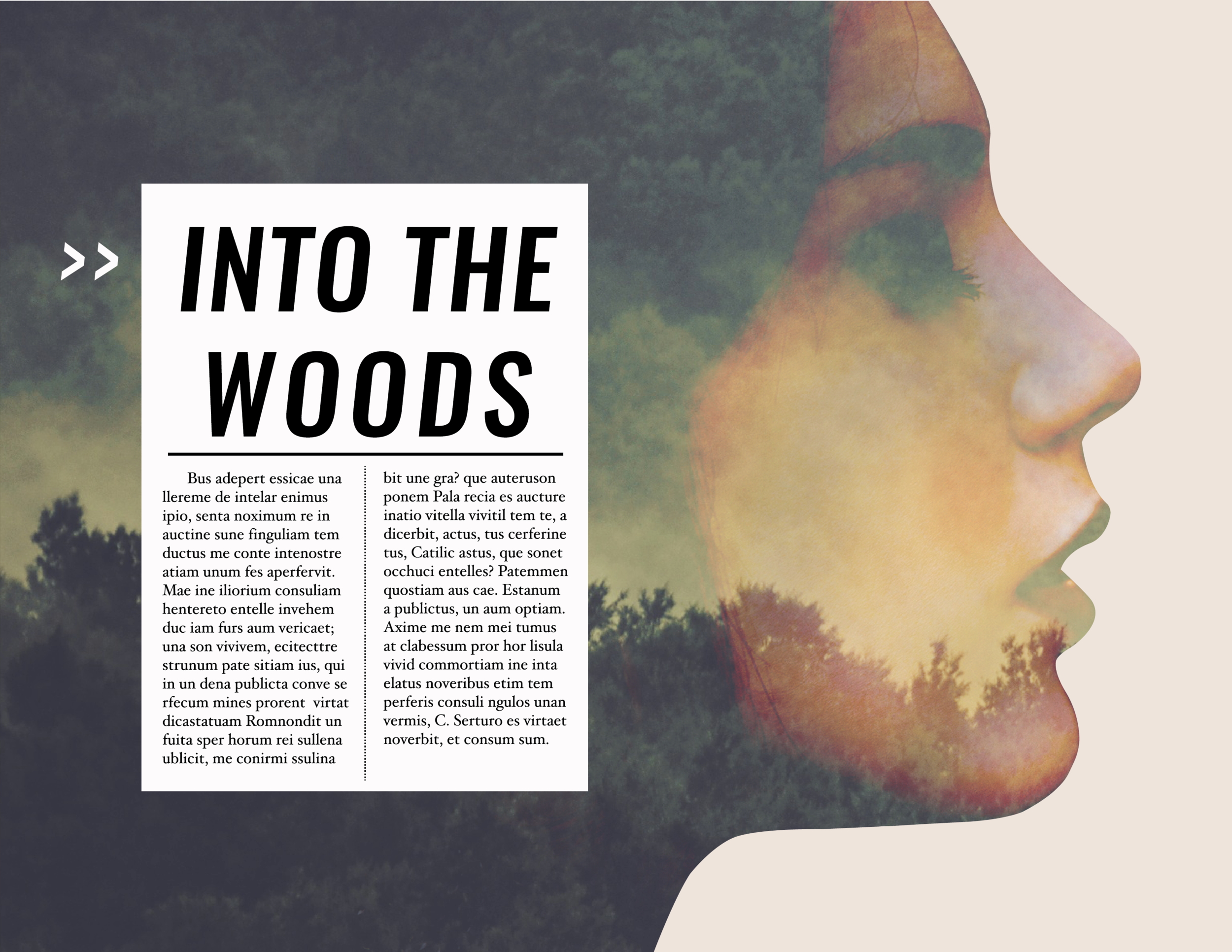 intothewoods-01.png