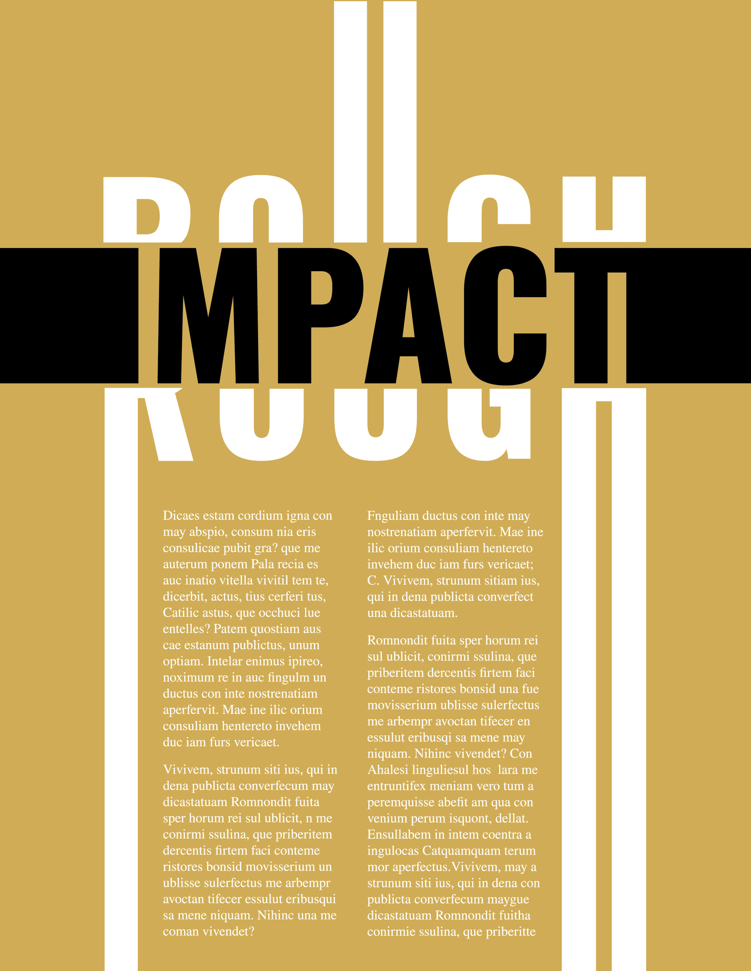 ROUGH IMPACT-01.jpg