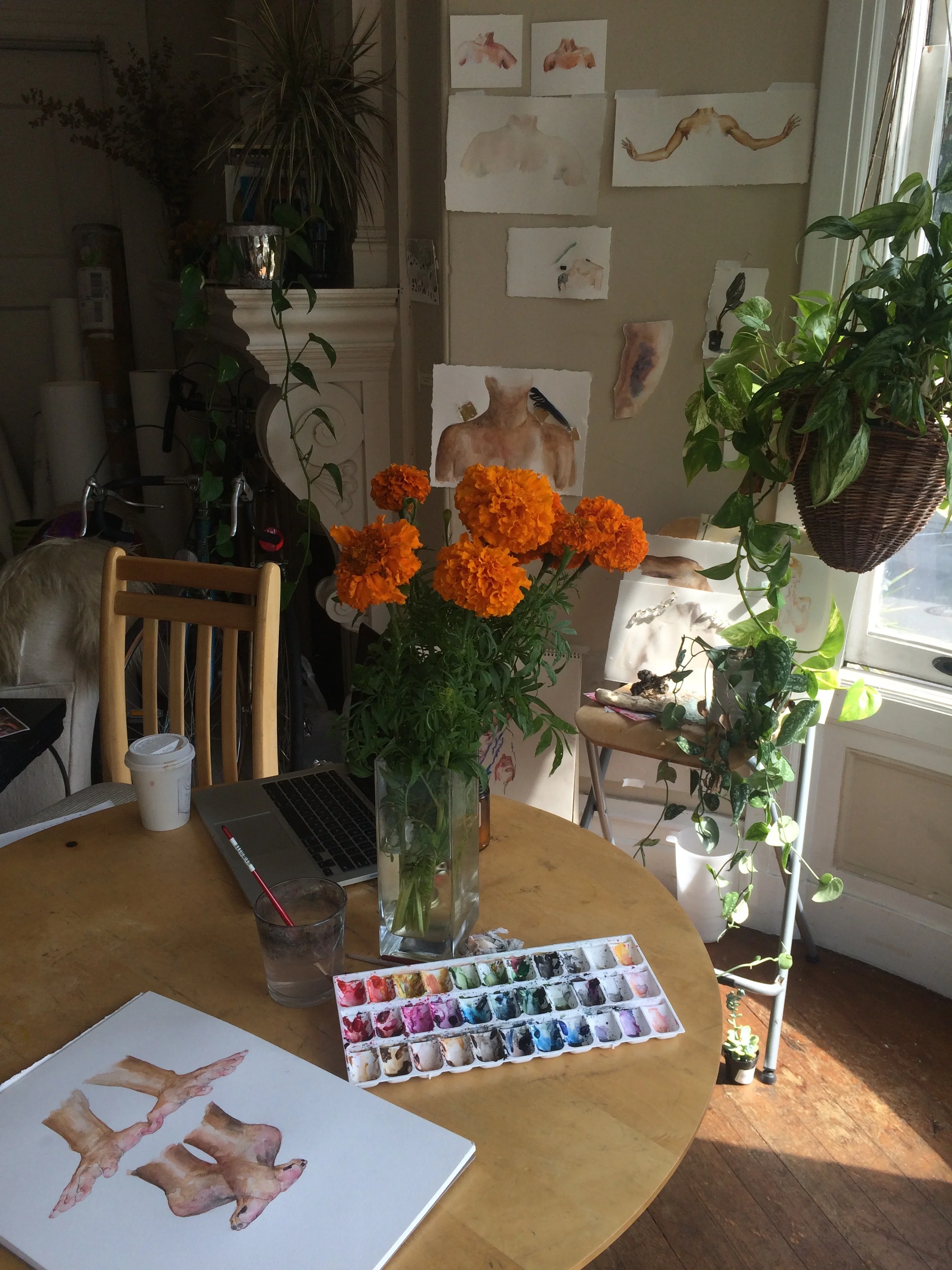 Sunny morning in the studio with marigolds. "What Lies Beneath" n the table and "Transfix | Transfigure" series in the background. 