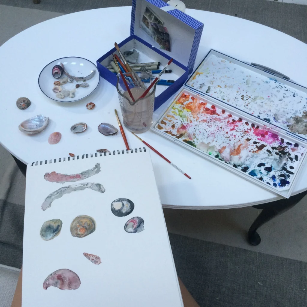 Shell studies in South Africa.