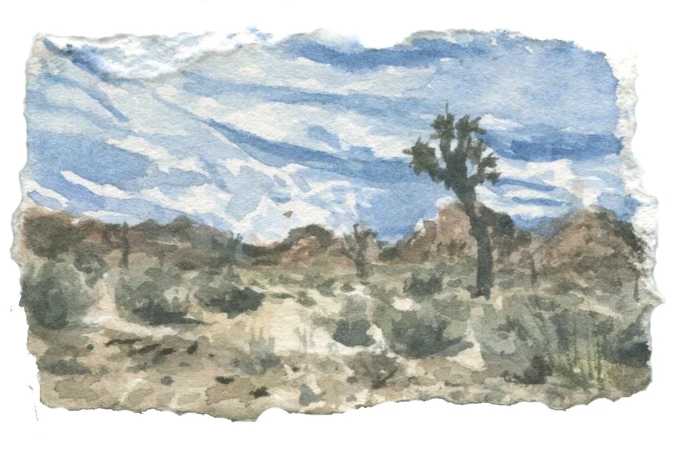 Joshua Tree N.P., CA. 2017