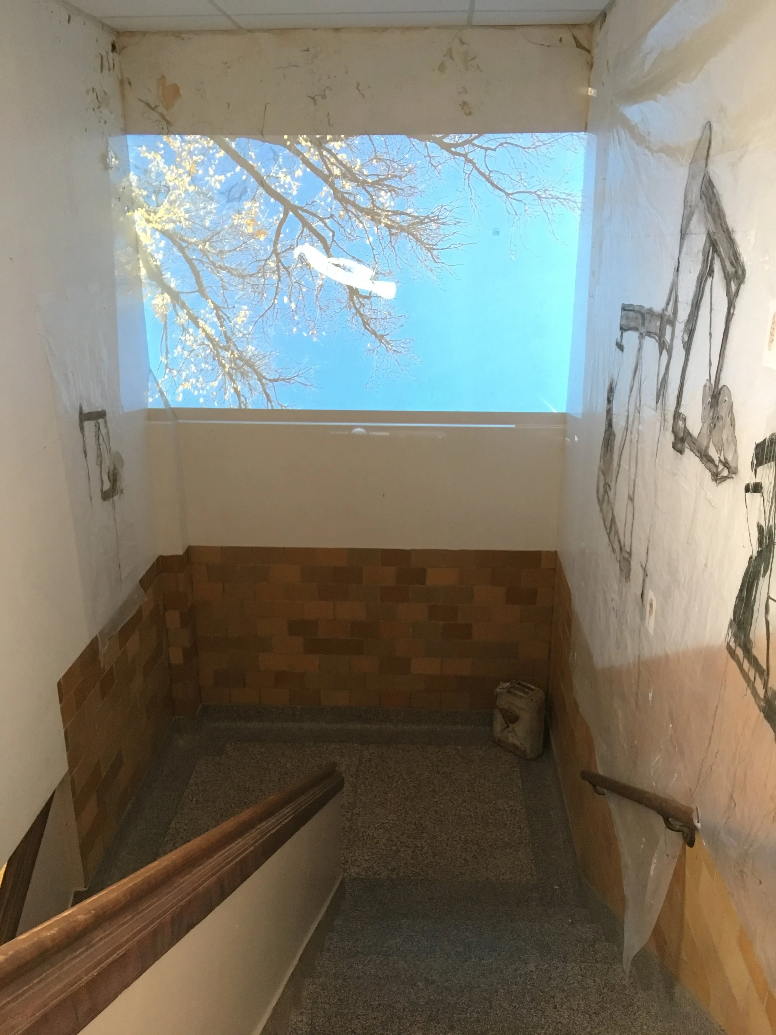  "Phenomenon" film projection and "Pumpjack Field" drawings on plastic (installation view at NWOSU in Alva, OK) 