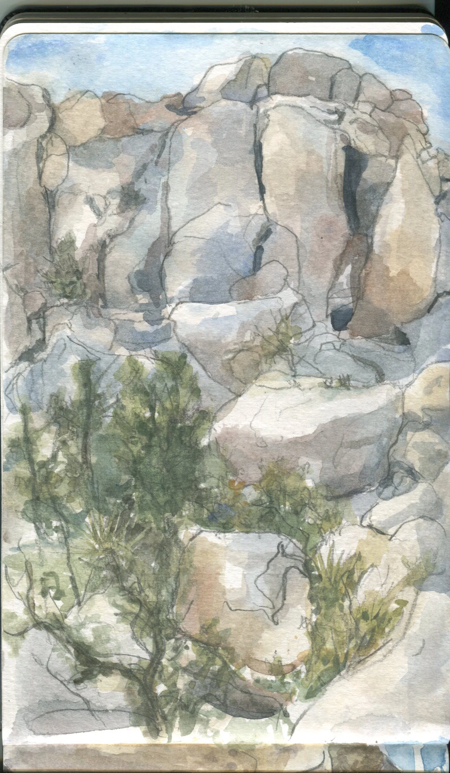 Sketch made at Joshua Tree NP, Jan 2017. Painted in after with a photo reference.