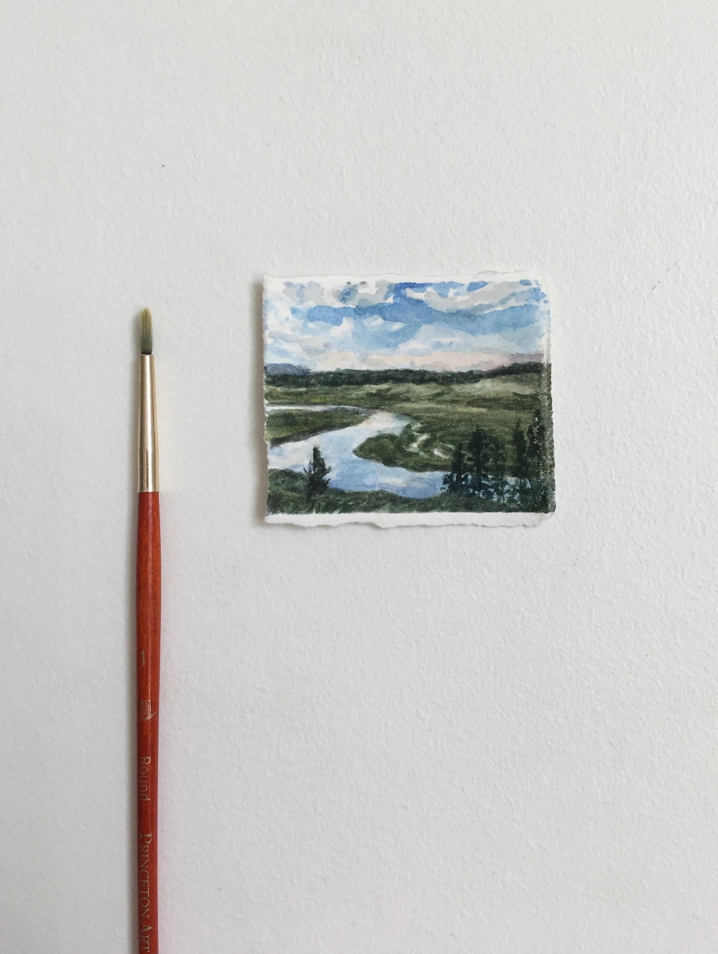  Lamar Valley, Yellowstone. July 2017. 