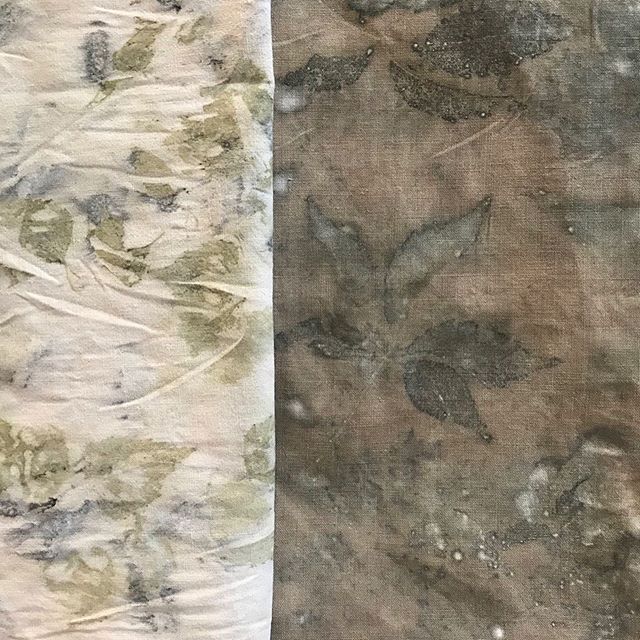 Results of a day&rsquo;s Eco Printing on cotton... Silver Birch, Virginia Creeper, Rose, Smokebush, scraps of onion skins and used coffee grounds... We&rsquo;ll be doing this and much more at my next workshop on the 14th September @3rdrailprintspace 