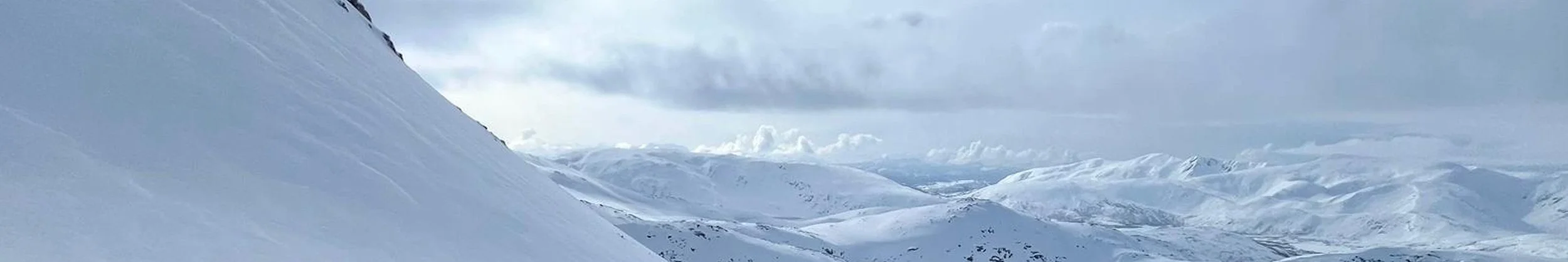 Bergen_TopBild.jpg