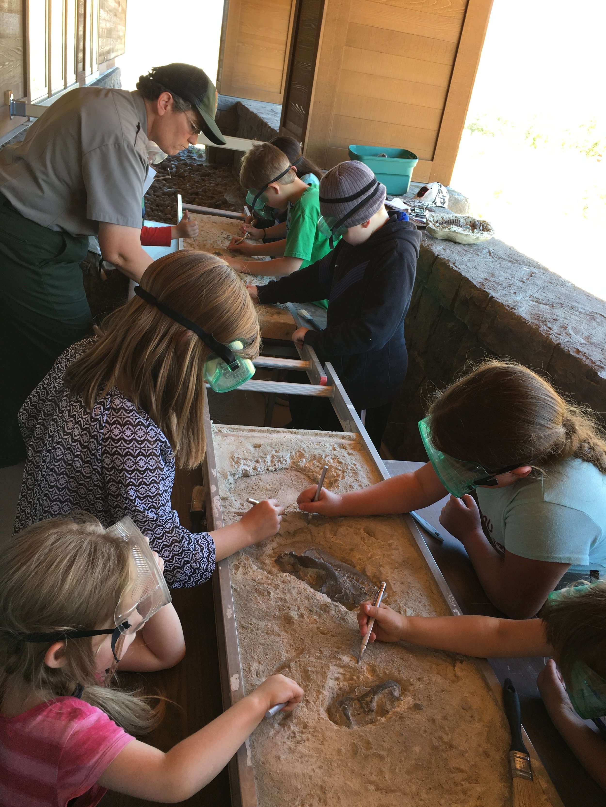 Students Practice Carefully Unearthing Fossils