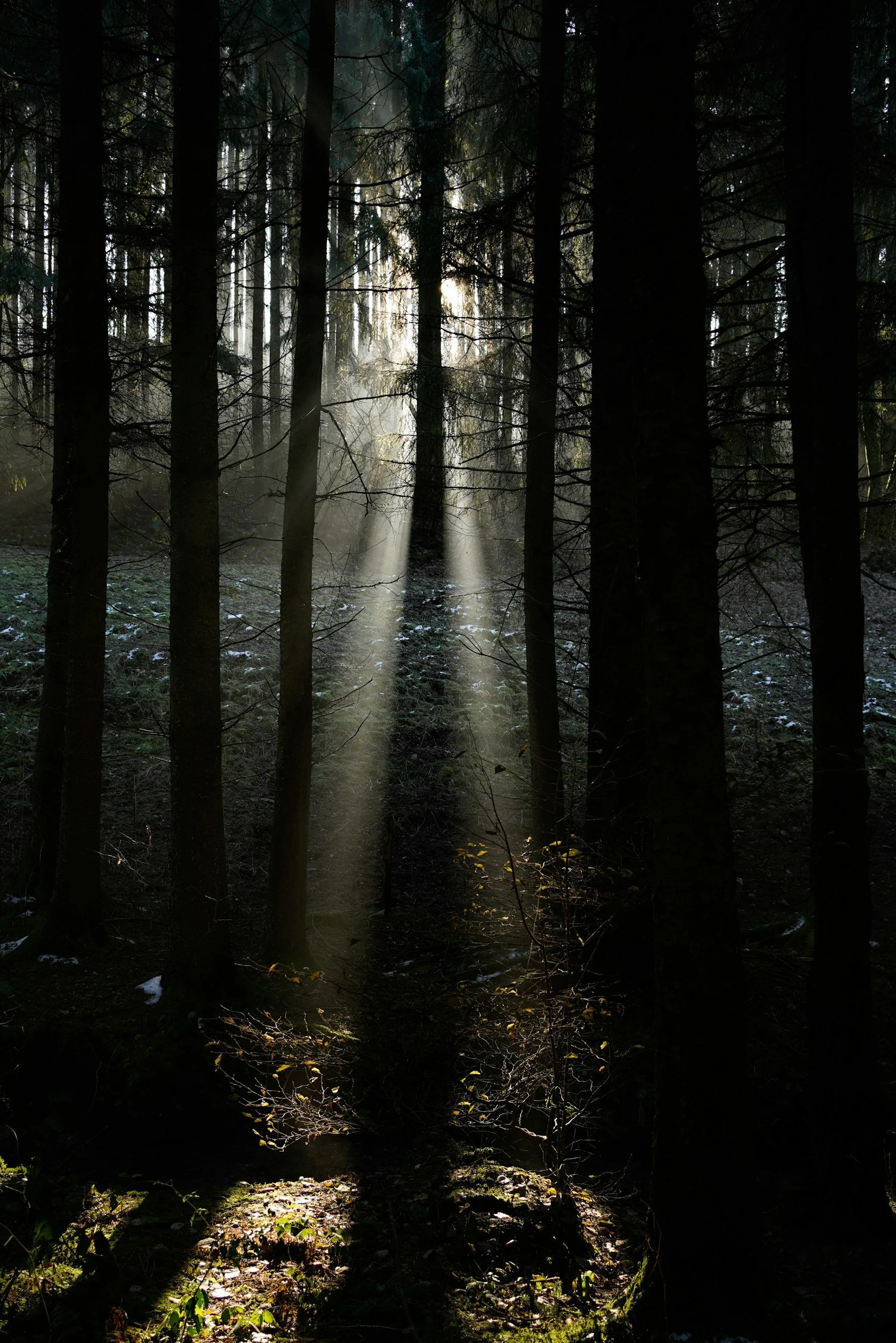 Listening in the Dark: When Inner Authority Disrupts the World