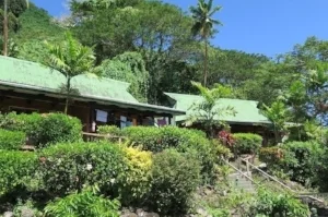 Standard rooms Daku resort.jpg