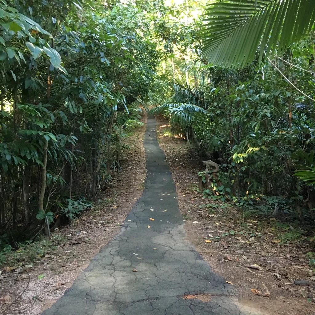 Mission Beach 5.jpg