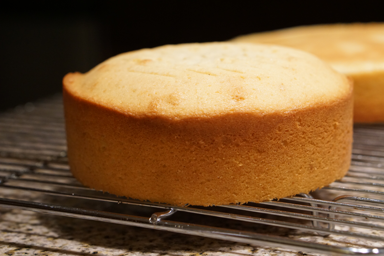 Vanilla Hot Milk Sponge Cake