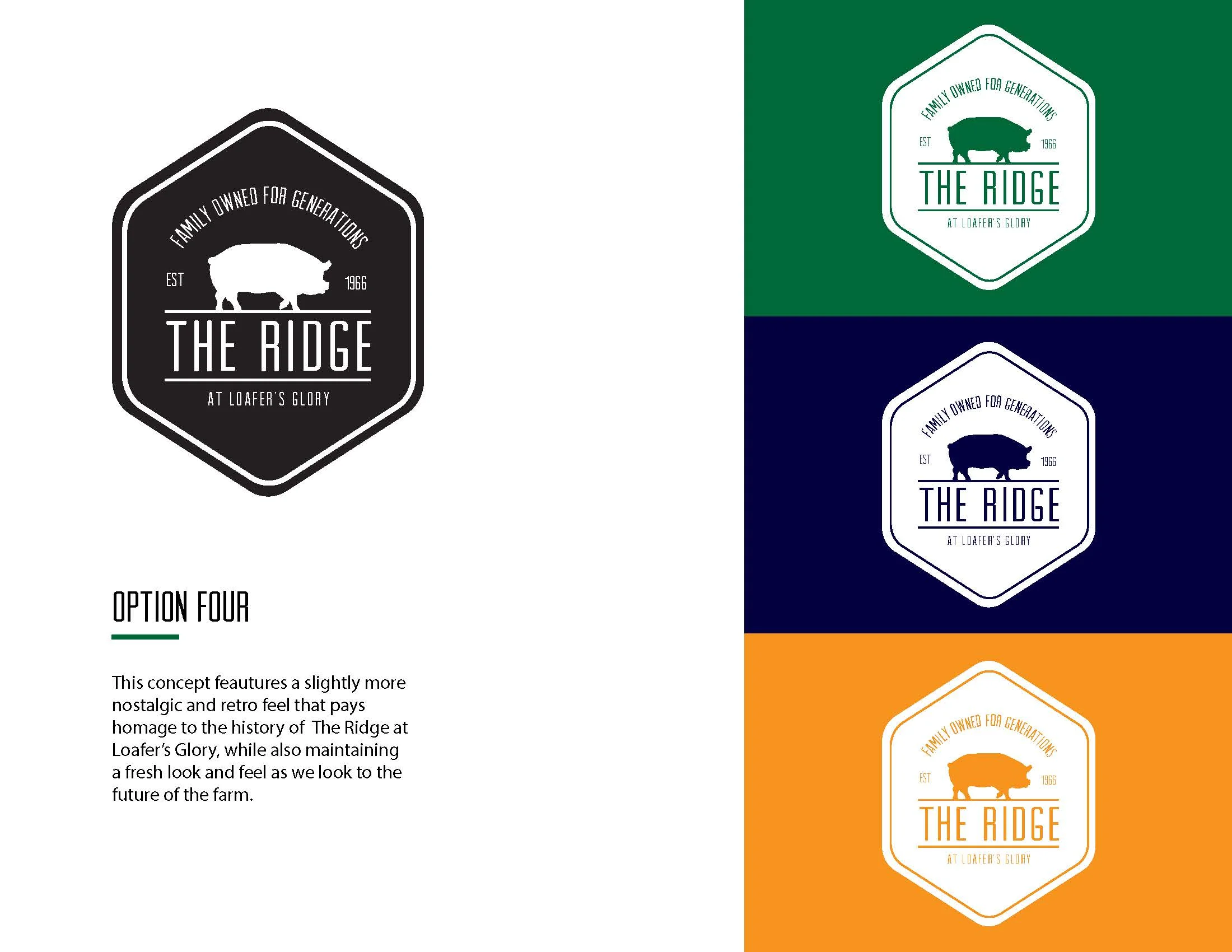 TheRidge_Logo_Presentation_2.15.17_Page_11.jpg