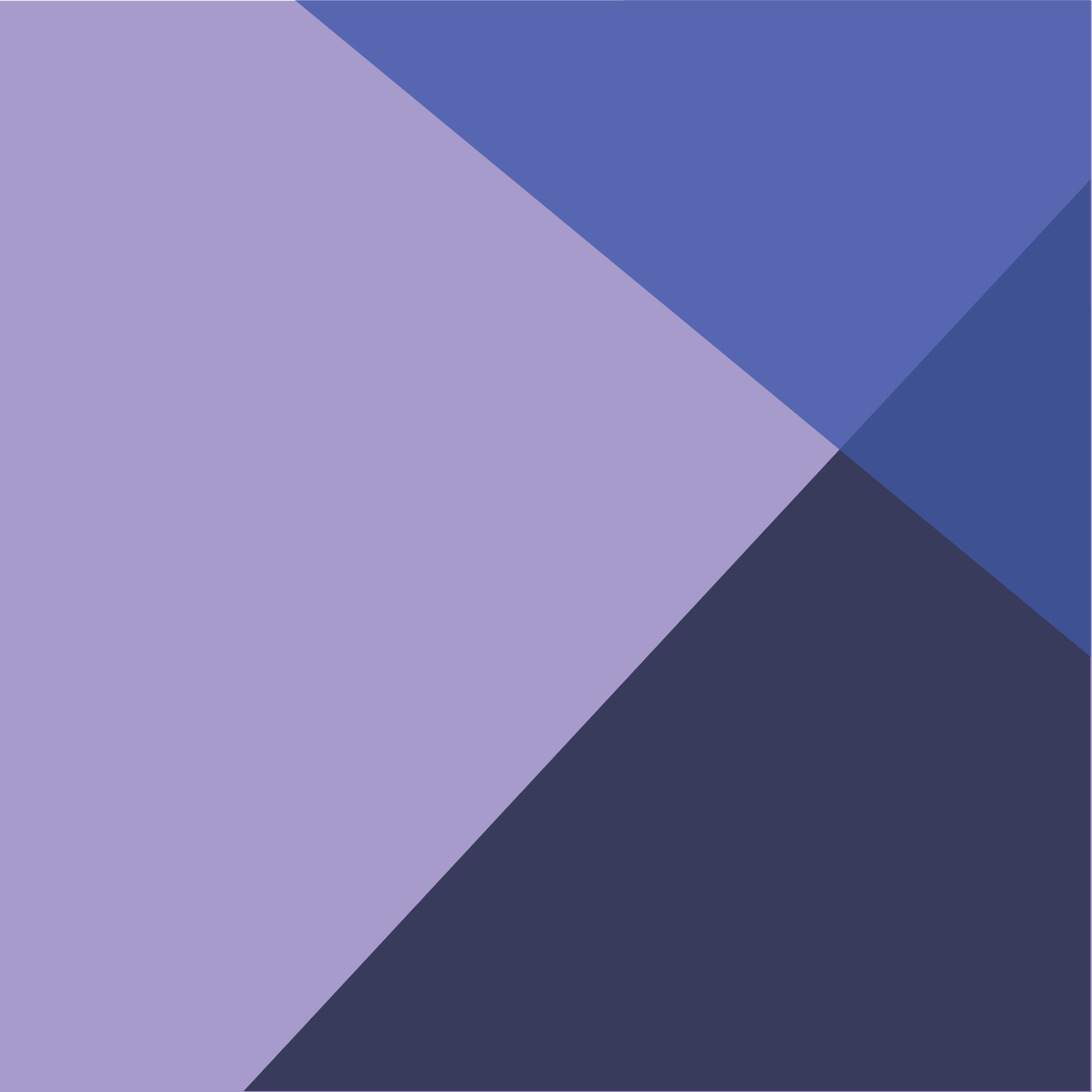 MISF No logo.png