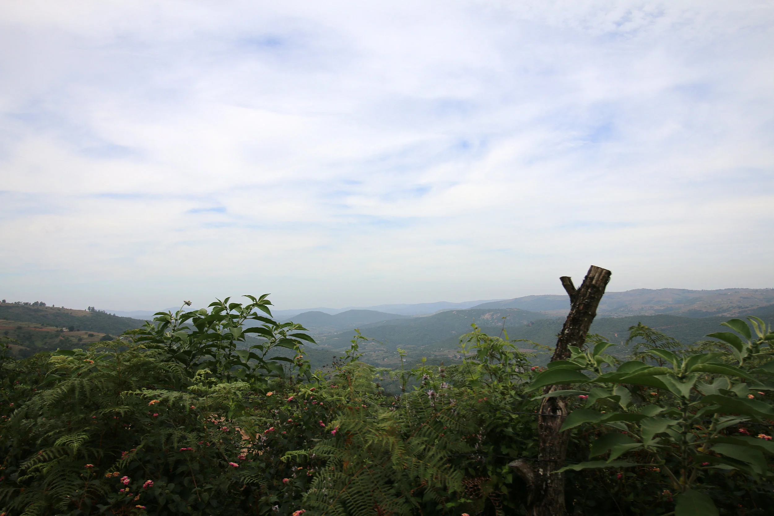 IMG_6549.JPG