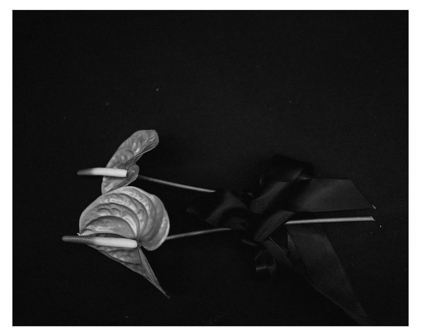 ✨ moments in between moments ✨