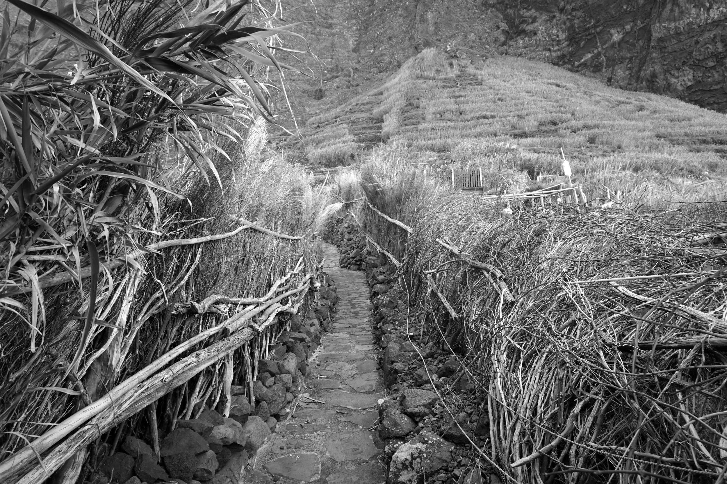 Flavio-Duarte-madeira-8.jpg