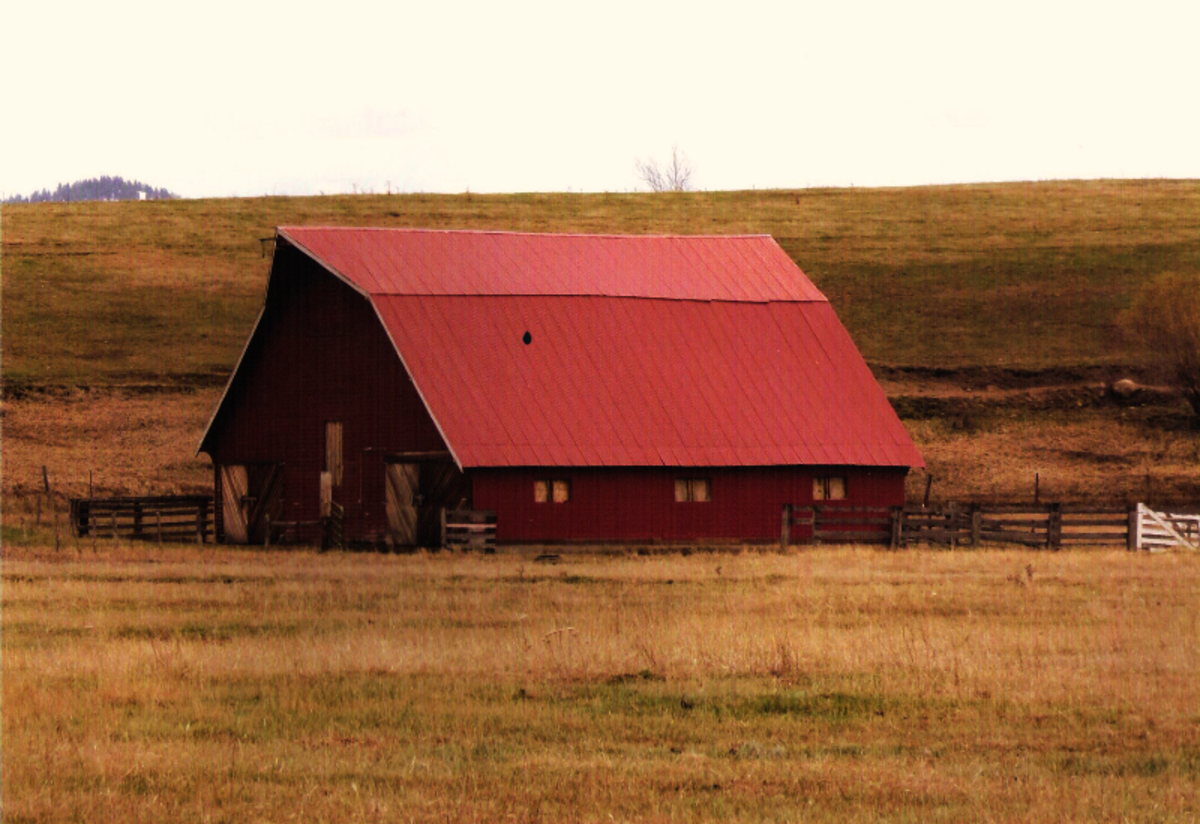 barn photo.png