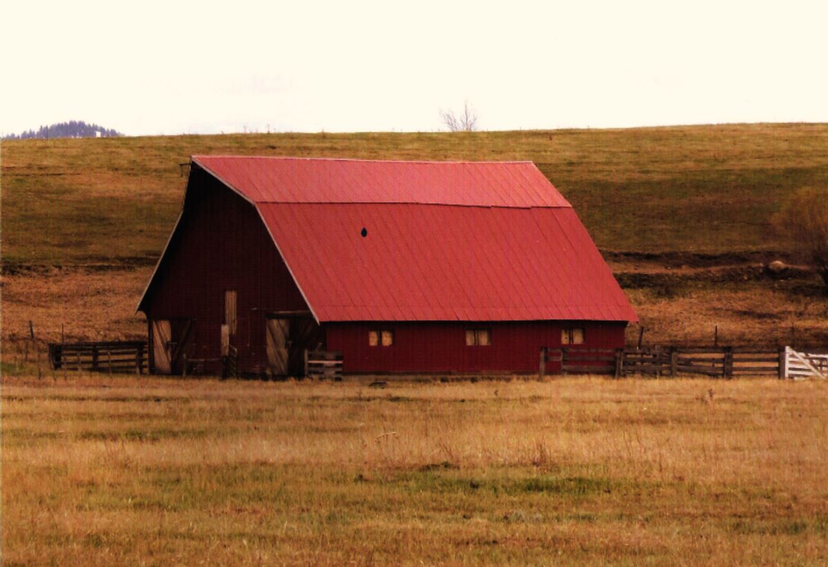 cover barn.JPG