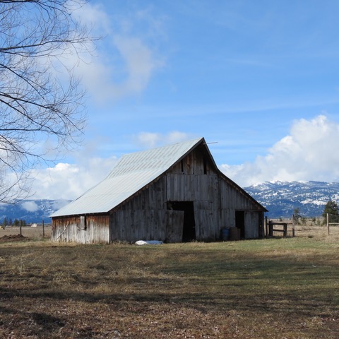 IMG_1415.jpeg