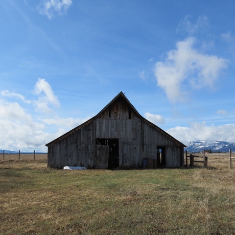 IMG_1418.jpeg