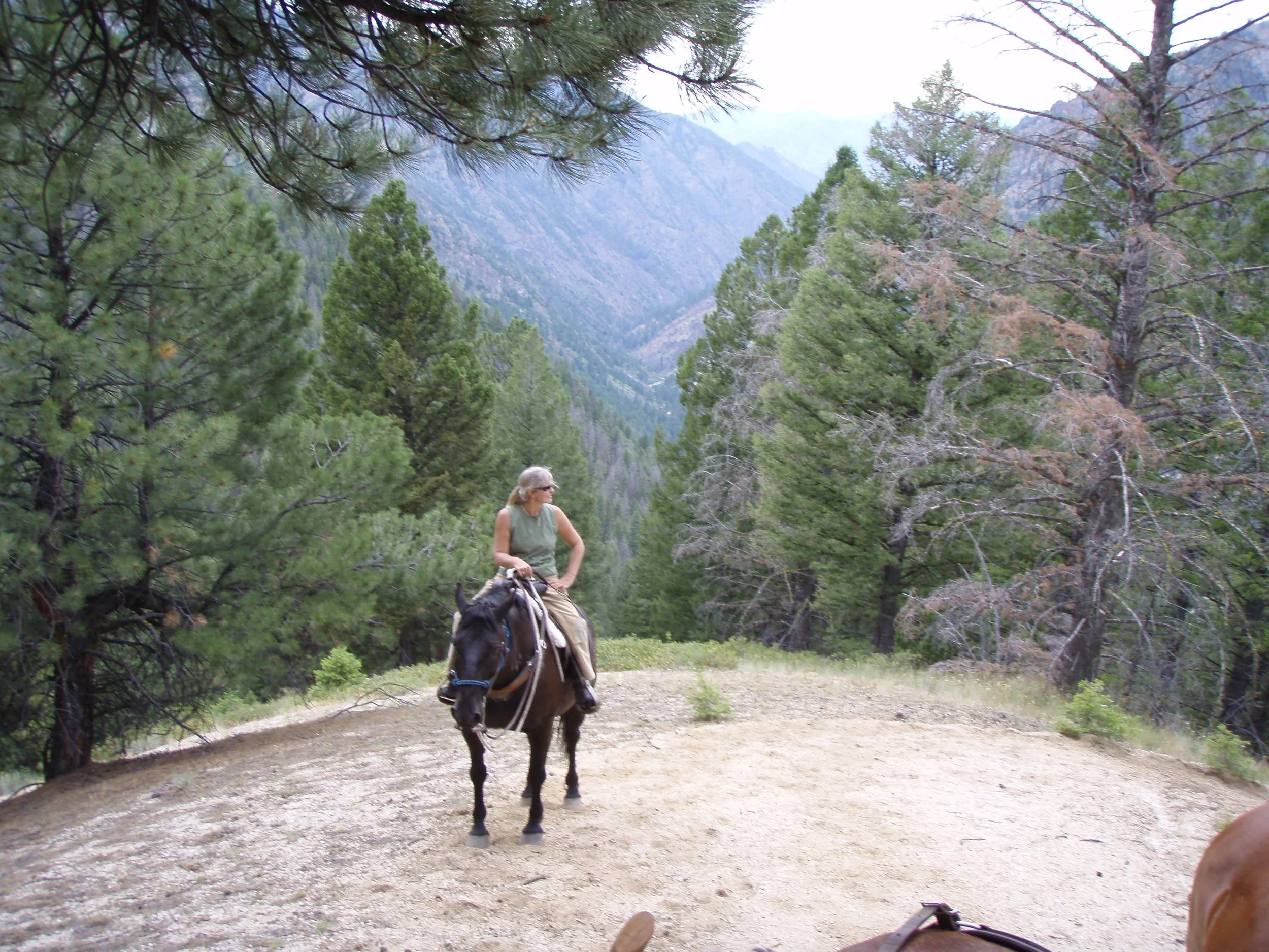 Cammie and Brutus up Wilson Creek.JPG