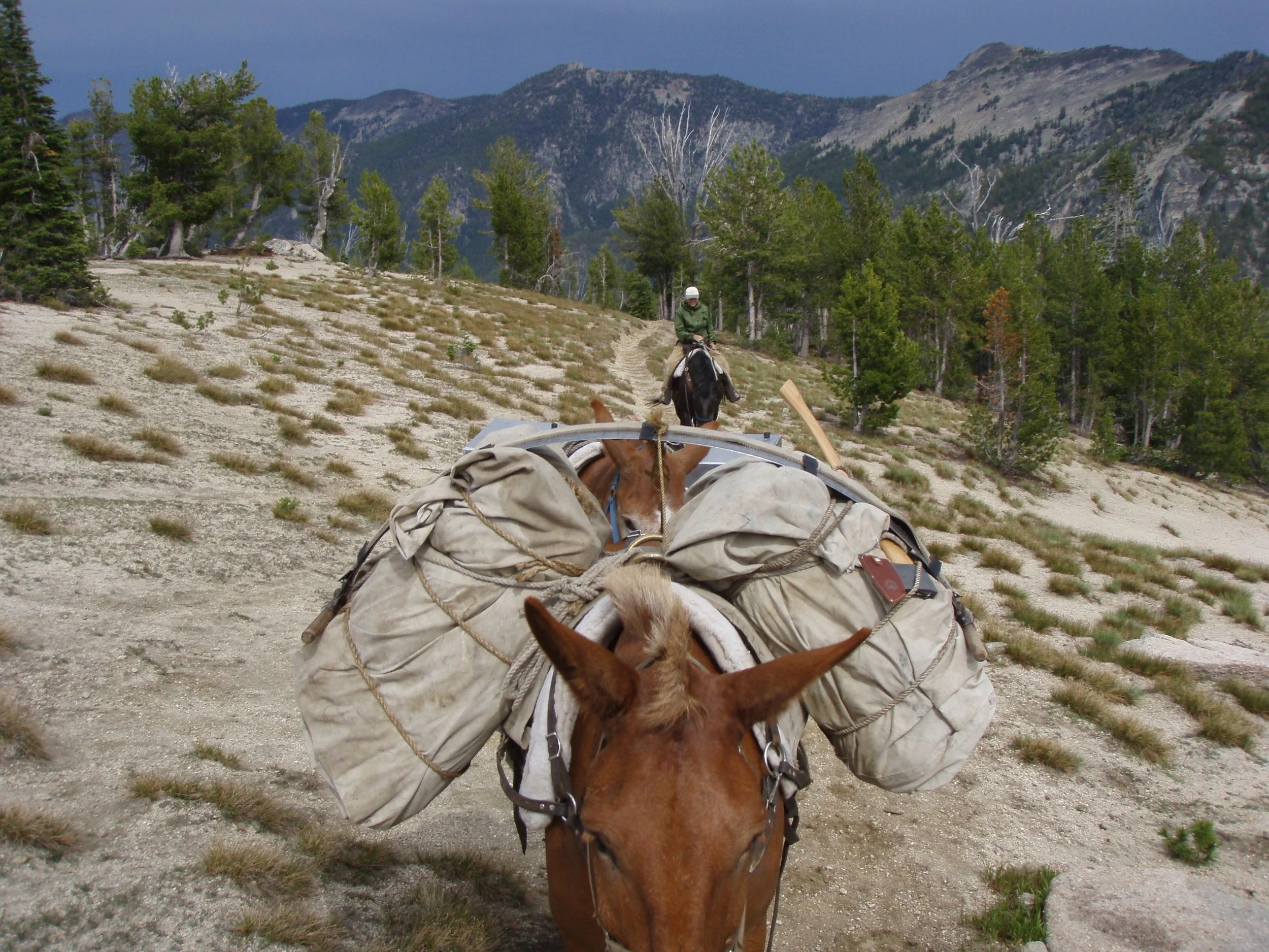 Pack Support for Arch.JPG