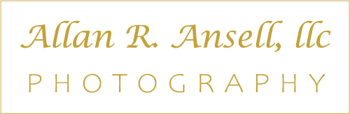 Allan Ansel Photography Logo.webp