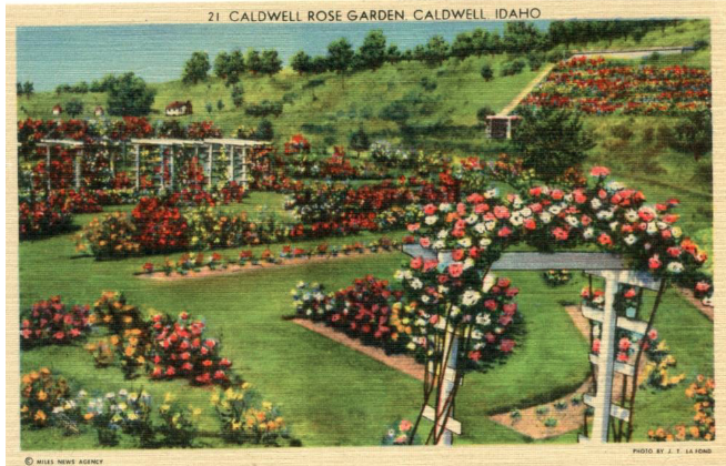 ArchWalks June Tour #3: Rose Garden Ramble at Caldwell's Luby Park