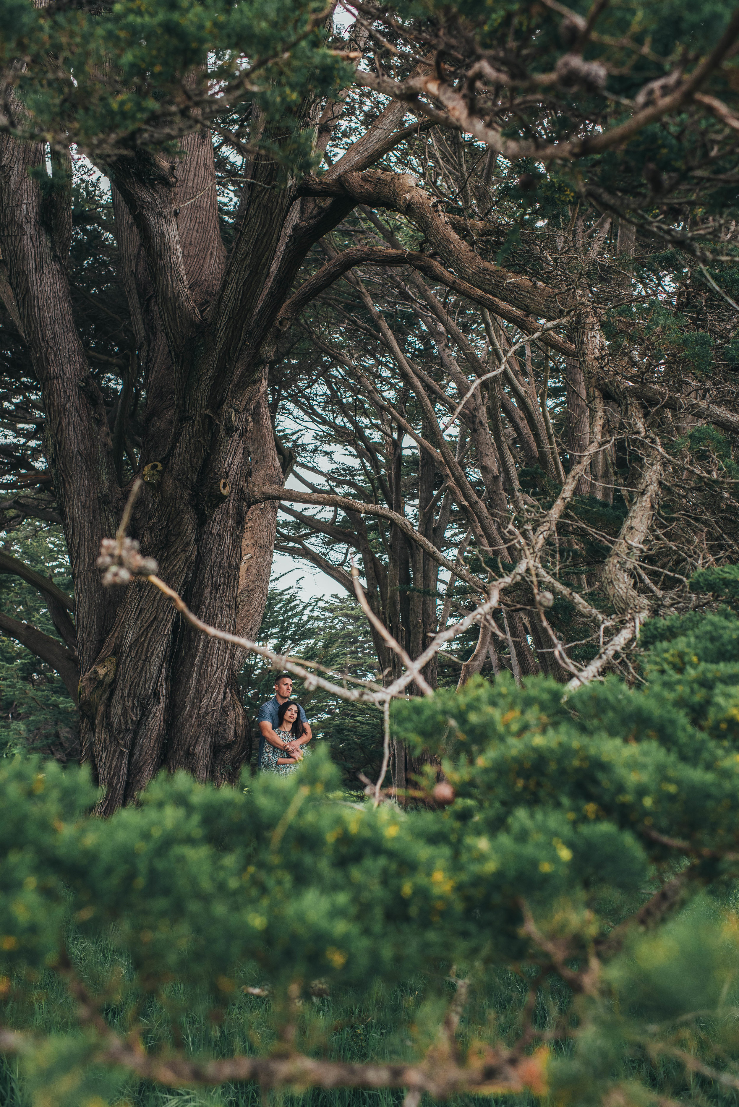  San Francisco Wedding Photographer, Elopement Photographer, Engagement Photographer, Los Angeles Wedding Photographer, Palm Springs Wedding Photographer, Joshua Tree Wedding Photographer