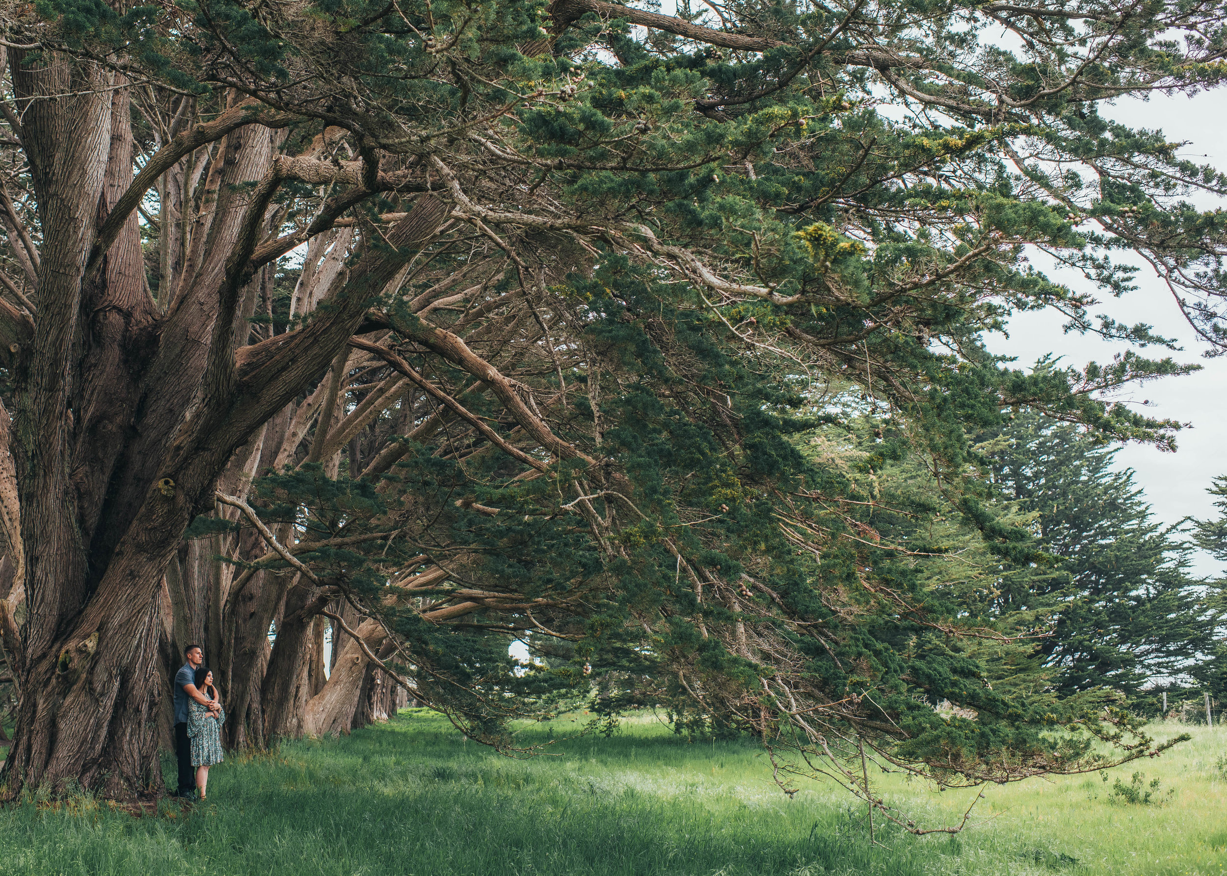  San Francisco Wedding Photographer, Elopement Photographer, Engagement Photographer, Los Angeles Wedding Photographer, Palm Springs Wedding Photographer, Joshua Tree Wedding Photographer