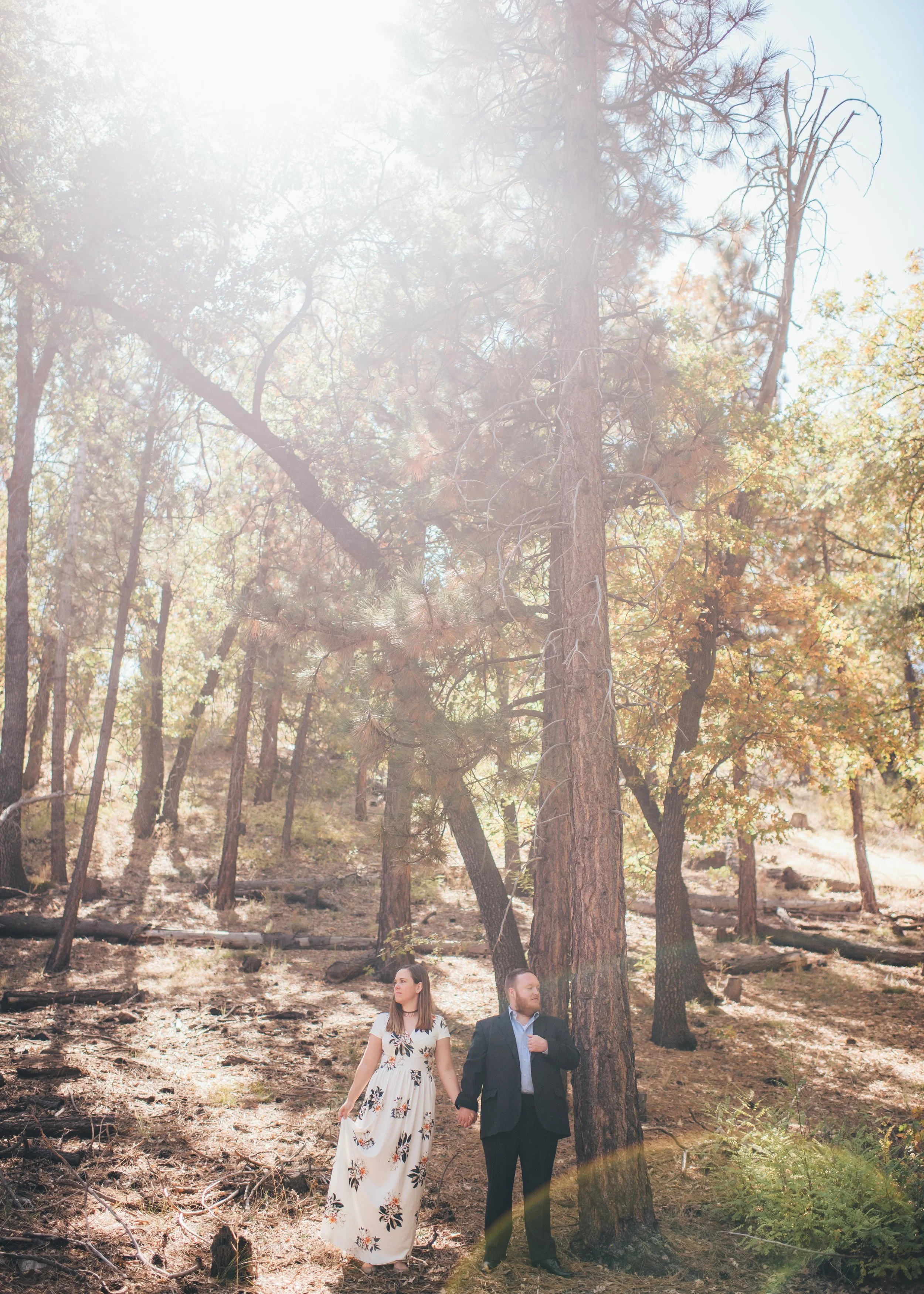 Oak Glen Wedding Photographer, Los Angeles Elopement Photographer, Engagement Photographer, Los Angeles Wedding Photographer, Palm Springs Wedding Photographer, Joshua Tree Wedding Photographer