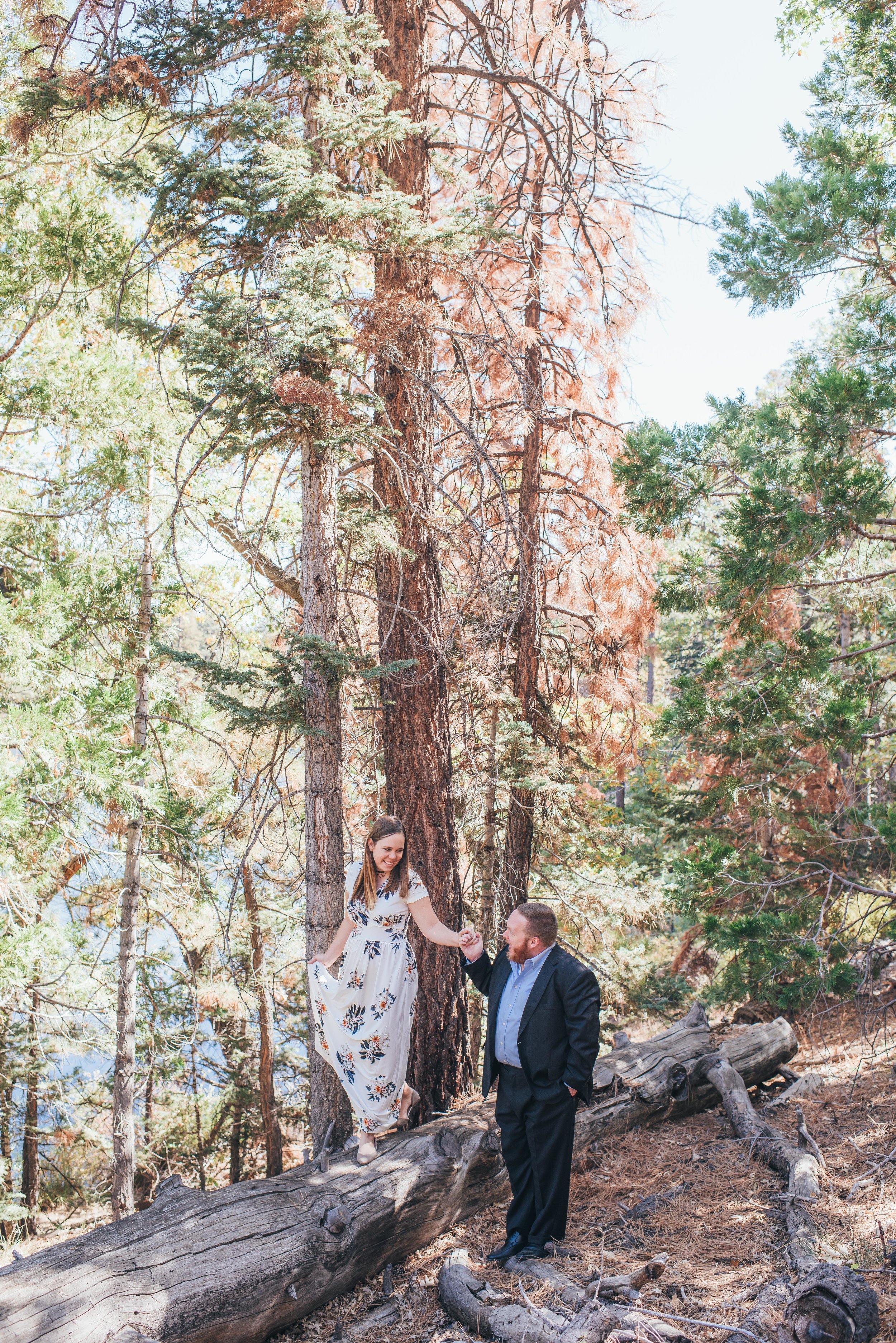 Oak Glen Wedding Photographer, Los Angeles Elopement Photographer, Engagement Photographer, Los Angeles Wedding Photographer, Palm Springs Wedding Photographer, Joshua Tree Wedding Photographer