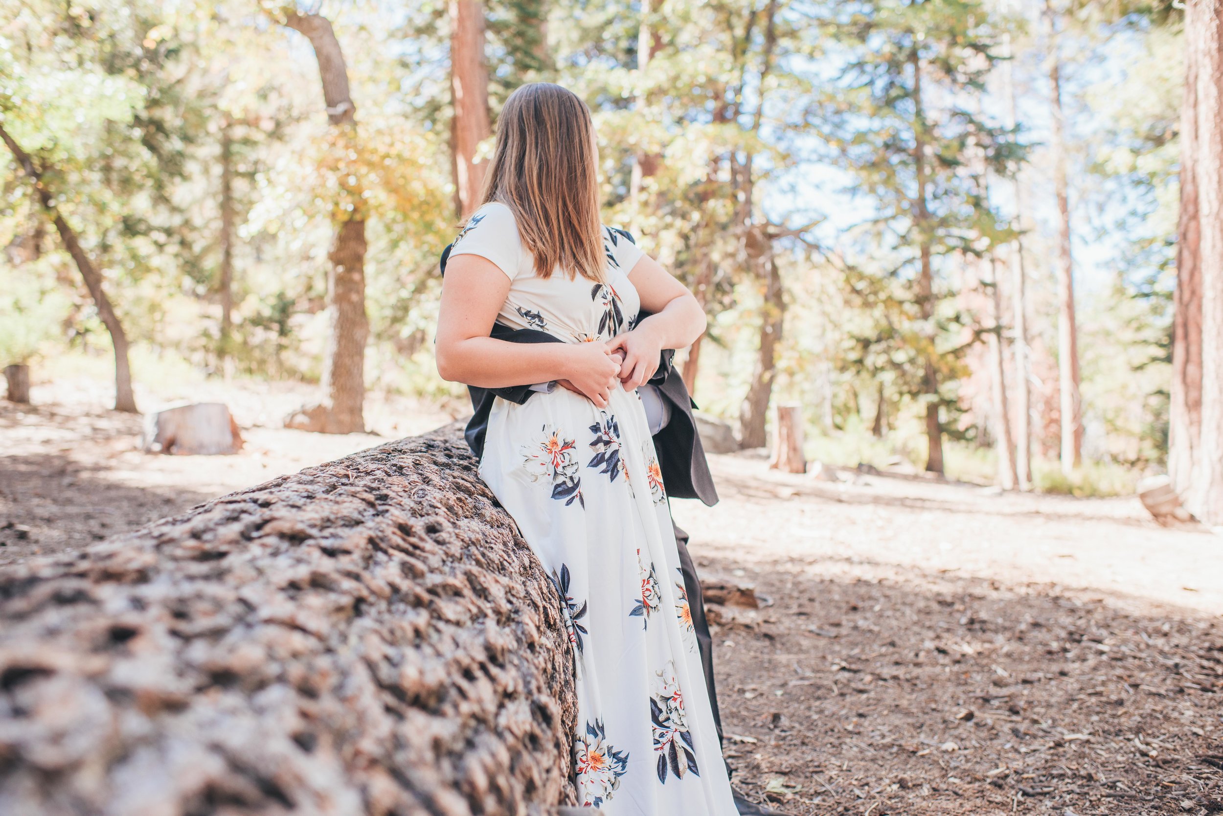 Oak Glen Wedding Photographer, Los Angeles Elopement Photographer, Engagement Photographer, Los Angeles Wedding Photographer, Palm Springs Wedding Photographer, Joshua Tree Wedding Photographer