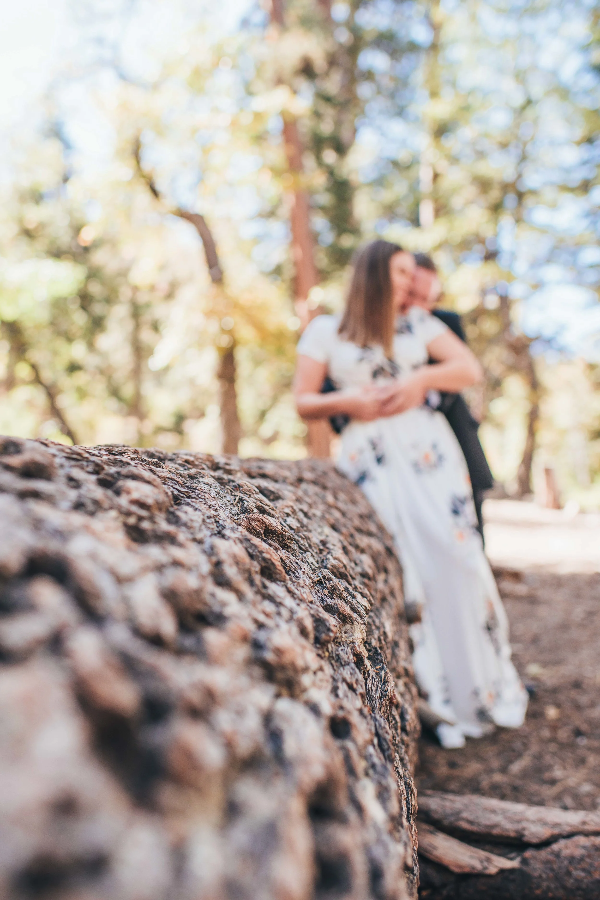 Oak Glen Wedding Photographer, Los Angeles Elopement Photographer, Engagement Photographer, Los Angeles Wedding Photographer, Palm Springs Wedding Photographer, Joshua Tree Wedding Photographer